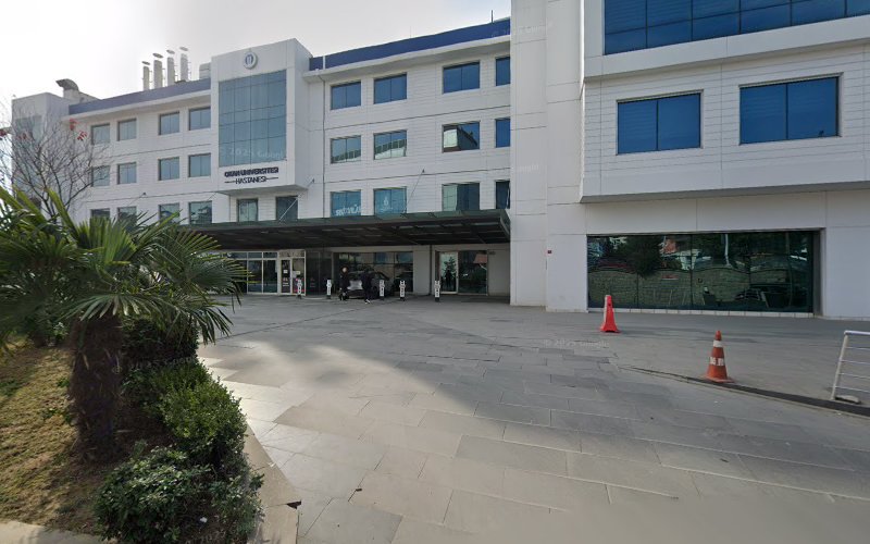 Yrd. Doç. Dr. Taner Kıvılcım