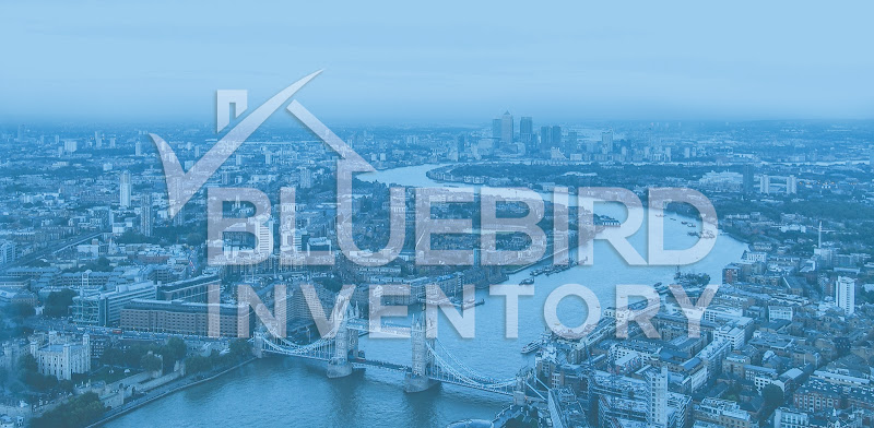 Bluebird Inventory Ltd